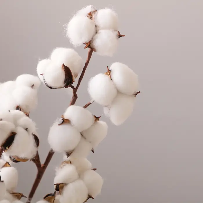Bouquet de fleurs en coton artificiel Instagrammable, tiges de coton moelleuses, décoration Wabi Sab