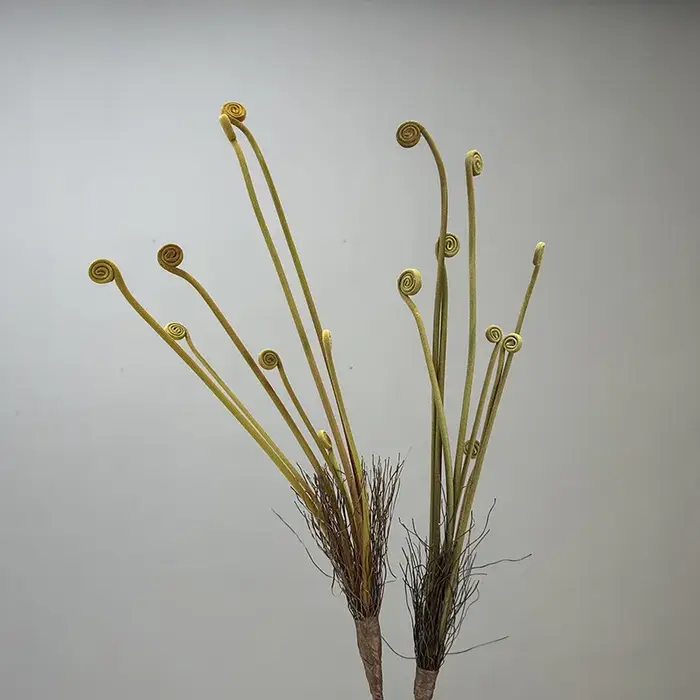 Nouvelles plantes artificielles de germes de fougère floquées pour la maison décor de Table de mariage fleur