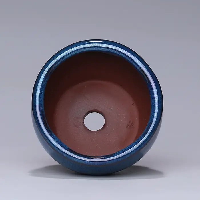 Pot de fleur succulente en céramique