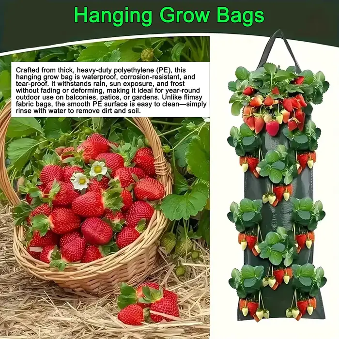 Sacs de culture suspendus pour fraises et tomates