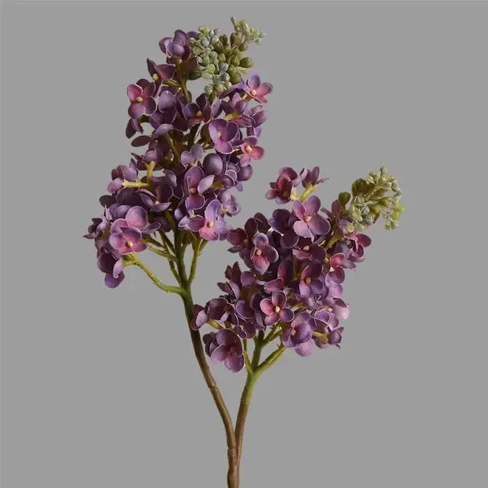 Fleurs Artificielles CAN ac Hydratantes