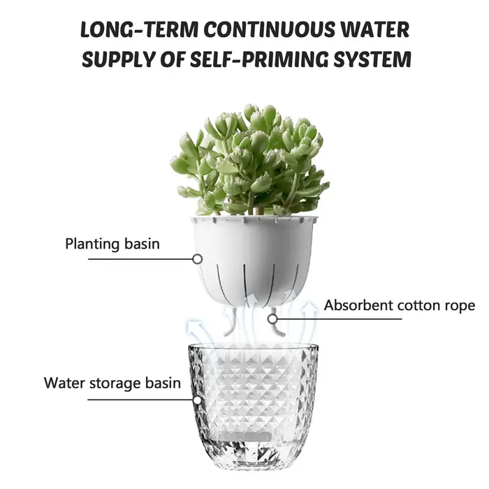 Vase à plantes hydroponiques avec corde en coton