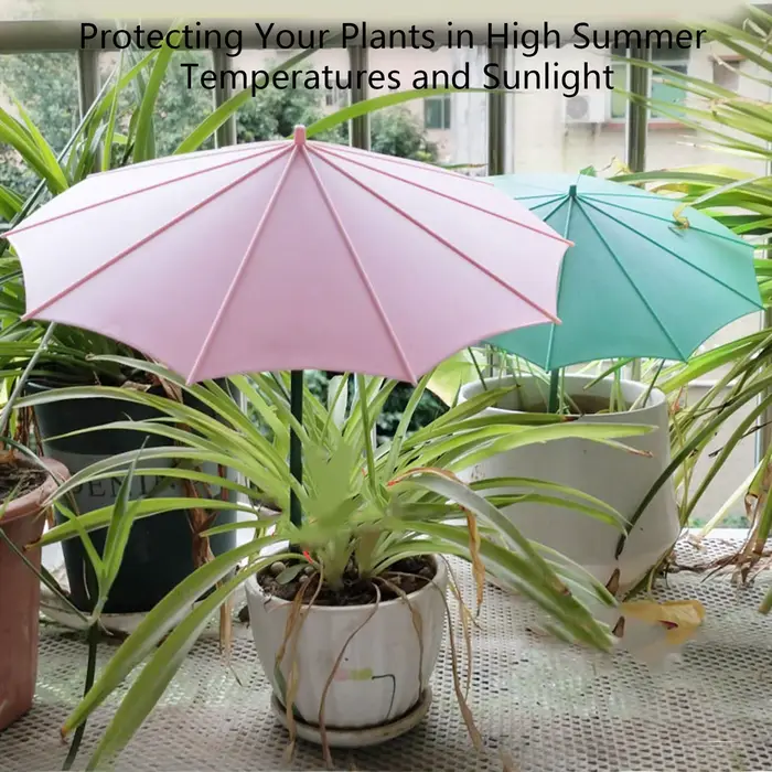 Parasols pour plantes (3 pièces) – Protection solaire UV pour semis et jeunes plants – Idéal pour jardiniers et légumes de balcon