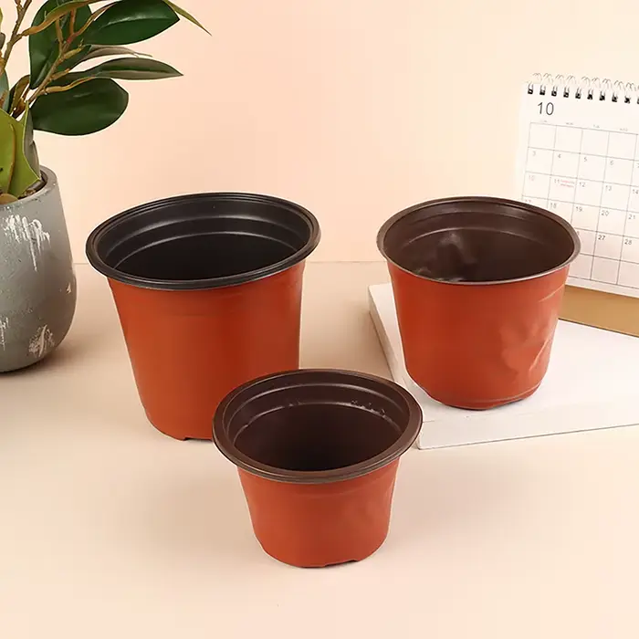 Pot de fleurs en plastique pour culture de plantes succulentes