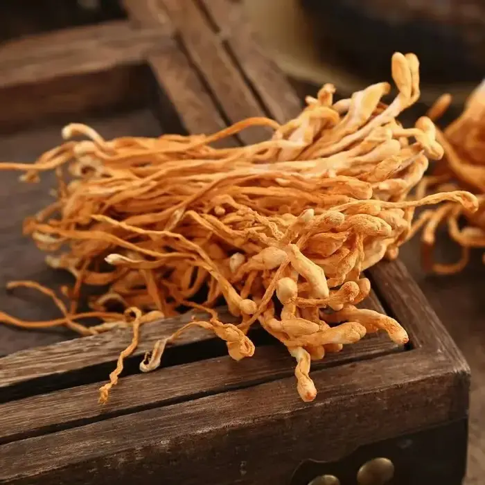 Fleur de Cordyceps séchée naturelle premium | Pour la beauté et le bien-être