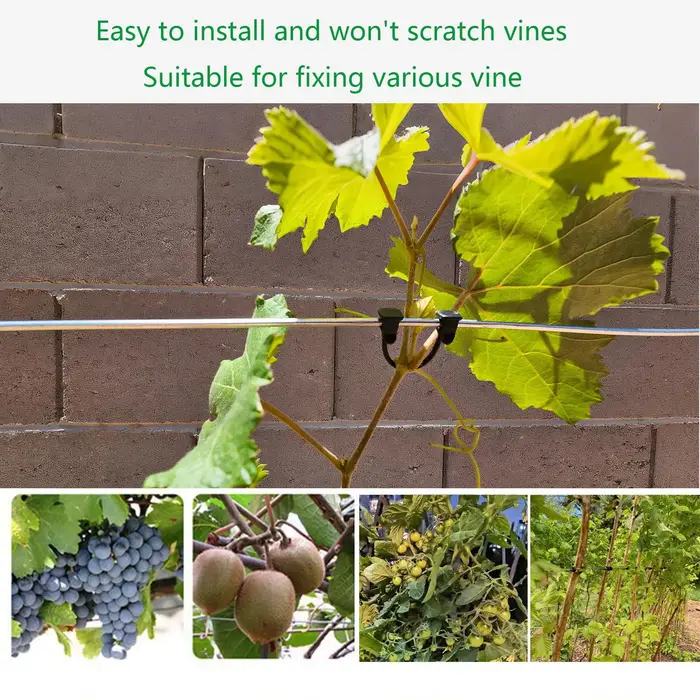 Clips de support pour plantes - Clips pour tomates