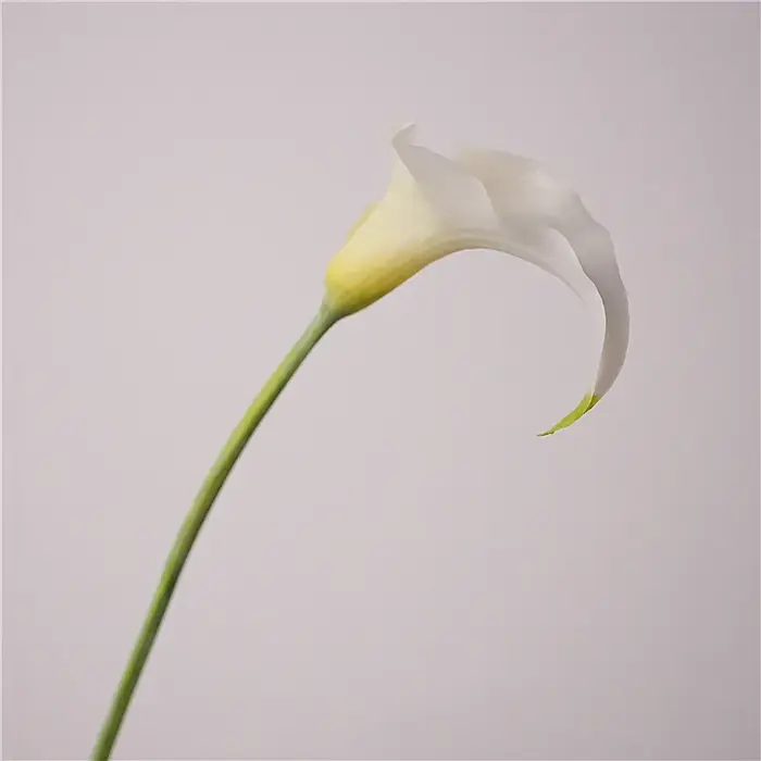 Fleur de lys Calla artificielle en Latex, 5 pièces, fleurs au toucher réel, Bouquet de décoration de