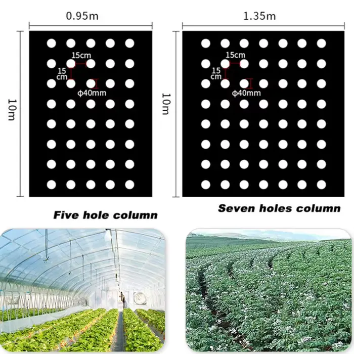 Film PE pour plantes de couverture au sol
