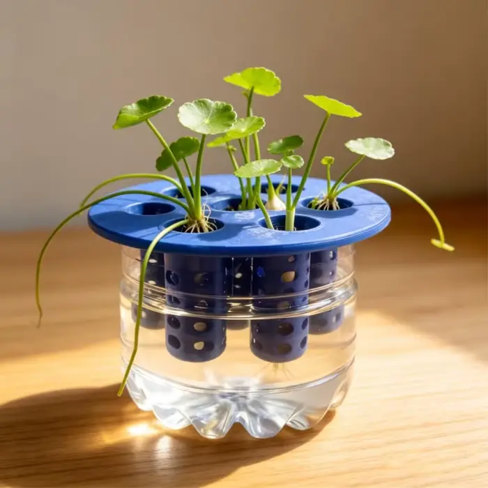 Jardinières hydroponiques pour légumes