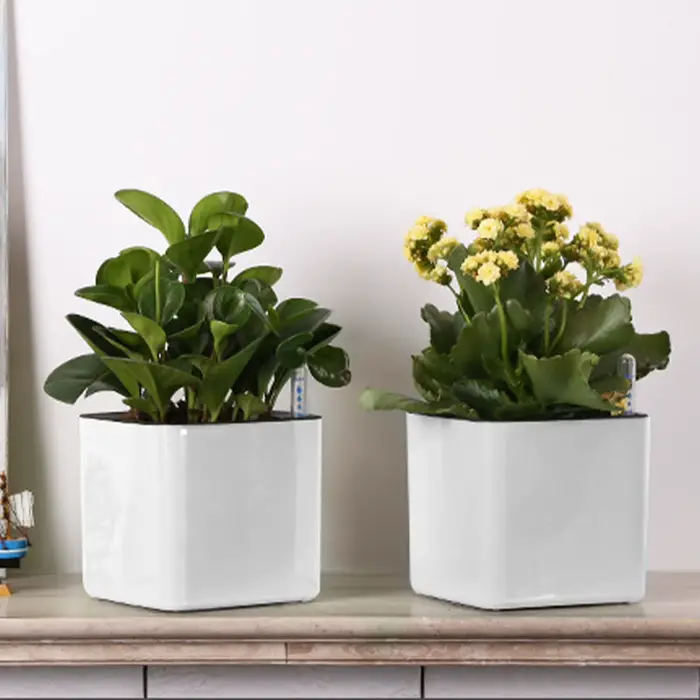 Pot de fleurs paresseux de 3 tailles