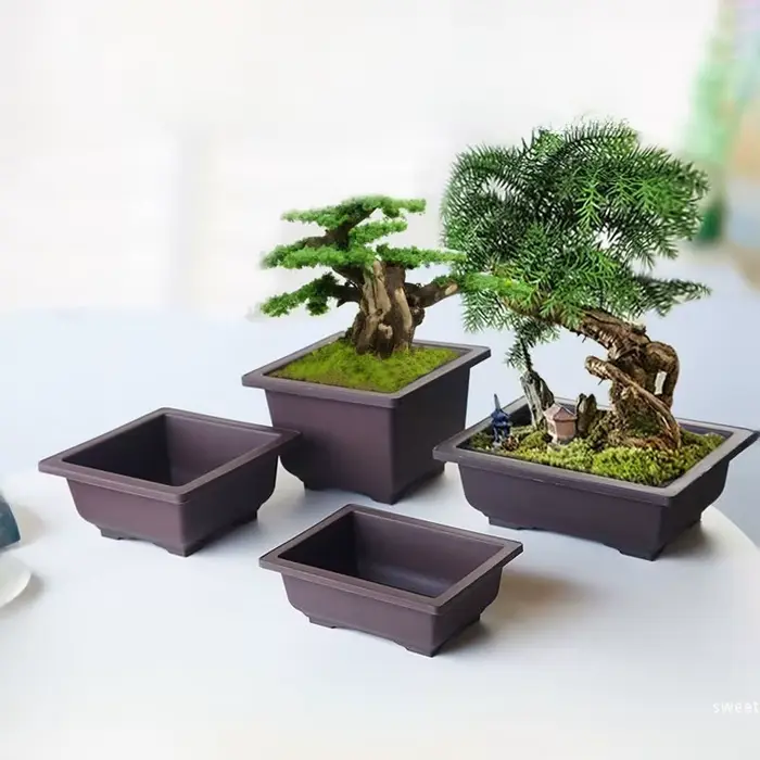 Pot de fleurs ovale carré et Hexagonal, plante succulente, bonsaï, petits jardinières en plastique, Imitation de poterie violette, vente en gros