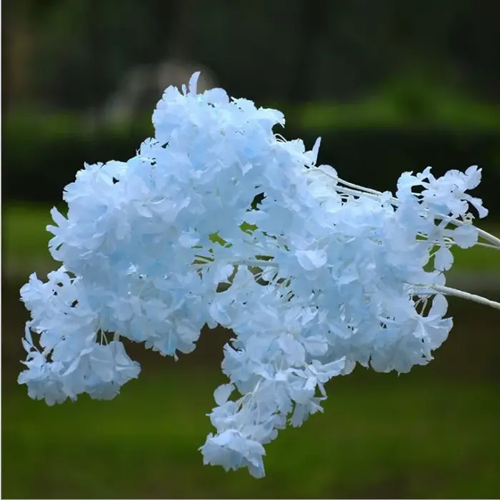 Étoile de ciel couverte de neige sans fleur, fausses fleurs artificielles, arc de mariage, décoratio