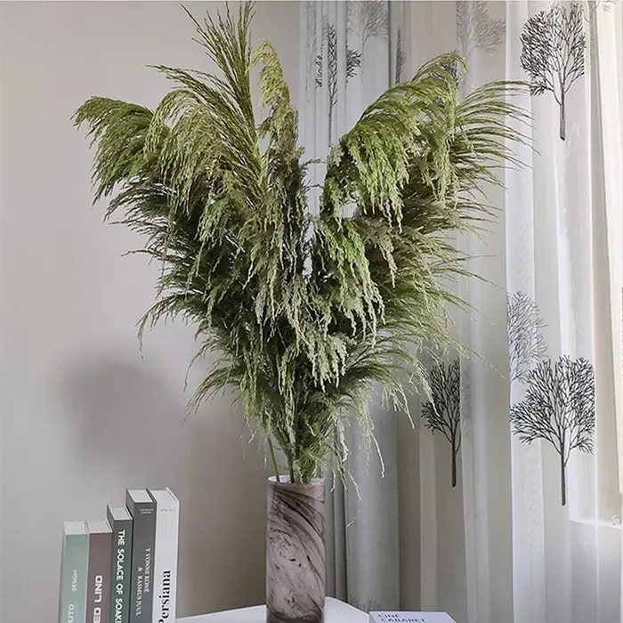 Grande herbe de Pampas naturelle de 80cm