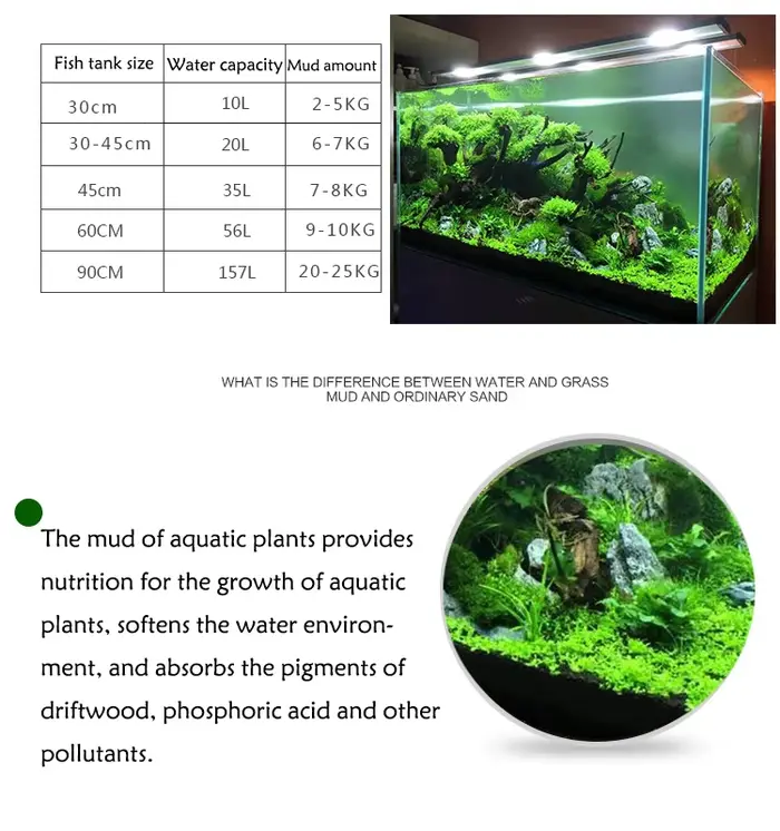 Sol de graines de plantes d'aquarium