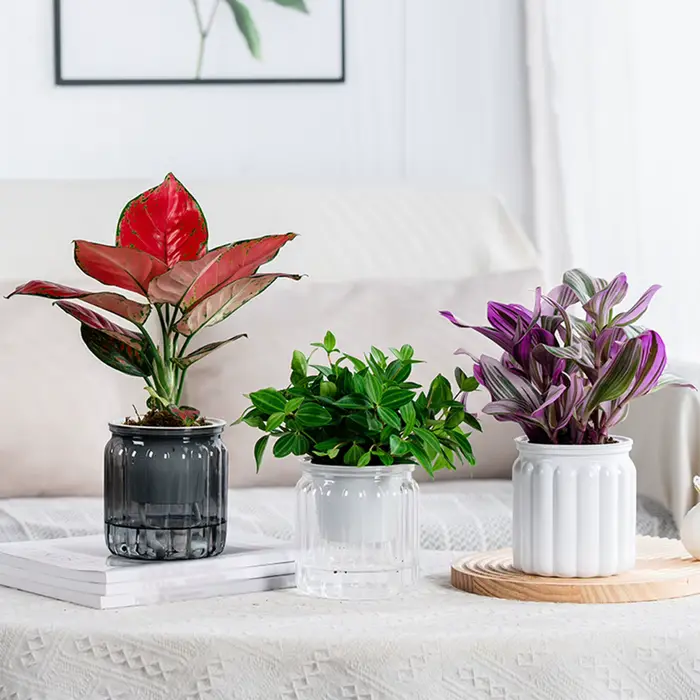 Pot de fleur pour plantes