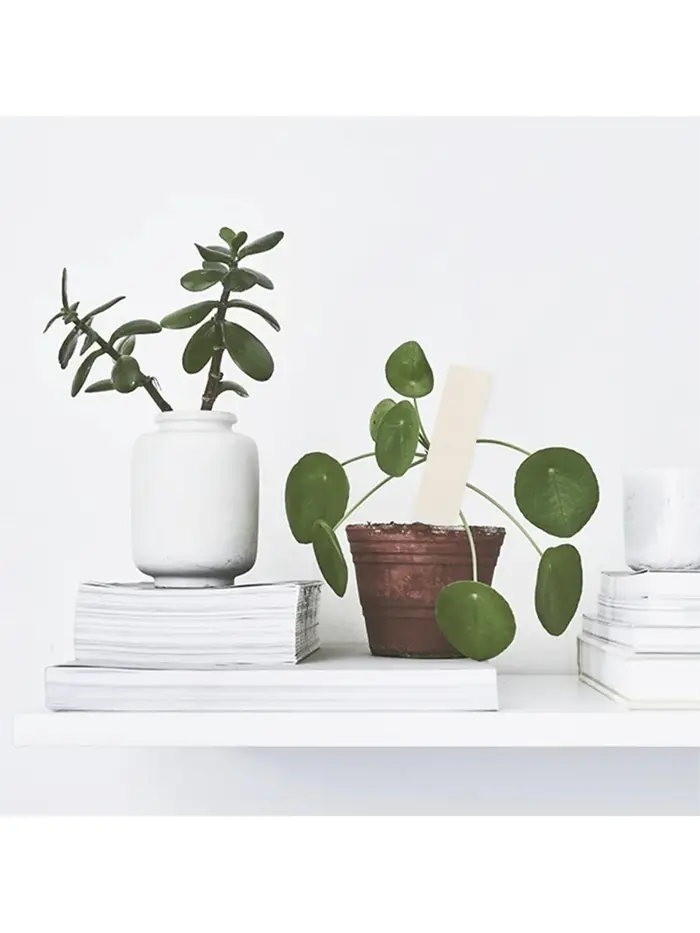 Étiquettes pour plantes de 4 pouces