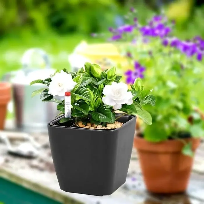 G6KF Planteur à eau auto avec indicateur niveau d'eau Pots fleurs décoratifs pour chambre cuisine Bureau des maisons