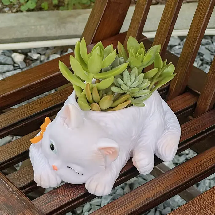 Pot de fleurs succulentes chat mignon
