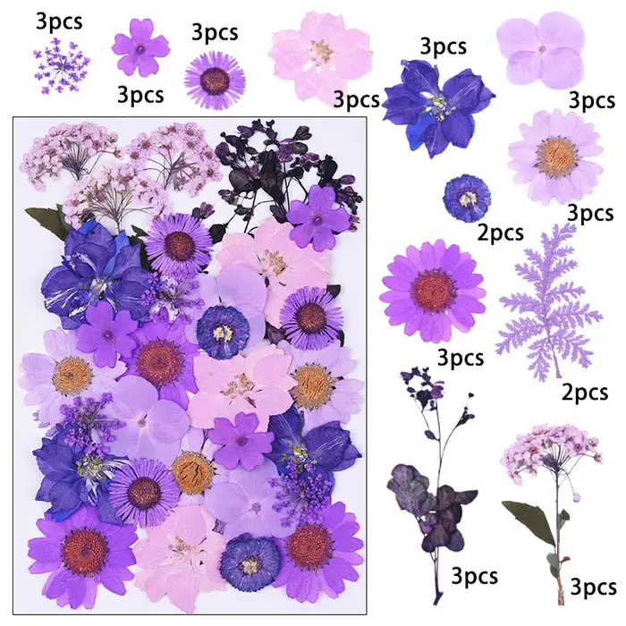 1 paquet de 34 à 40 fleurs séchées