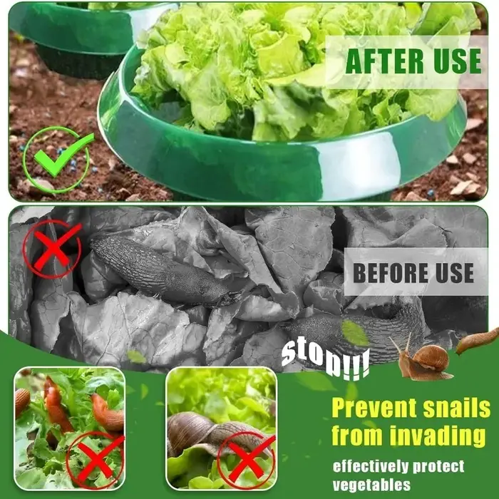 Anneaux de Protection des limaces pour plantes