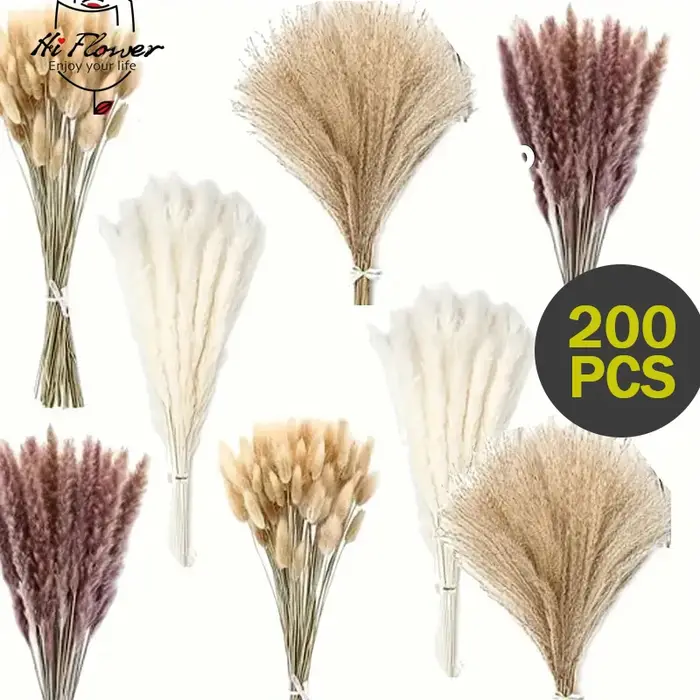 200 pièces Pampas herbe fleurs séchées Boho décoration maison ferme pays salle de mariage Table