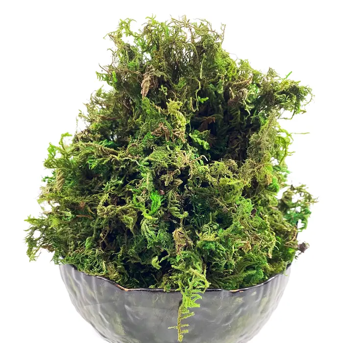 Mousse artificielle verte pour plante en pot