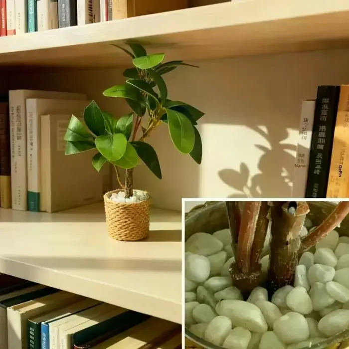 Modèle de plante en pot pour maison de poupée Miniature