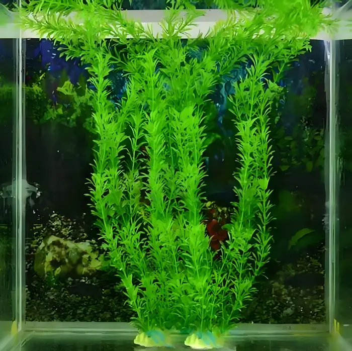 Décoration pour plantes d'aquarium pour Aquariums