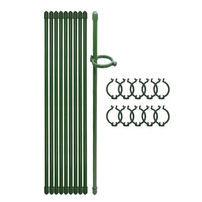 Piquets de Support pour plantes, 10 pièces, bâtons de plantes vertes de 12 pouces avec anneau de ret