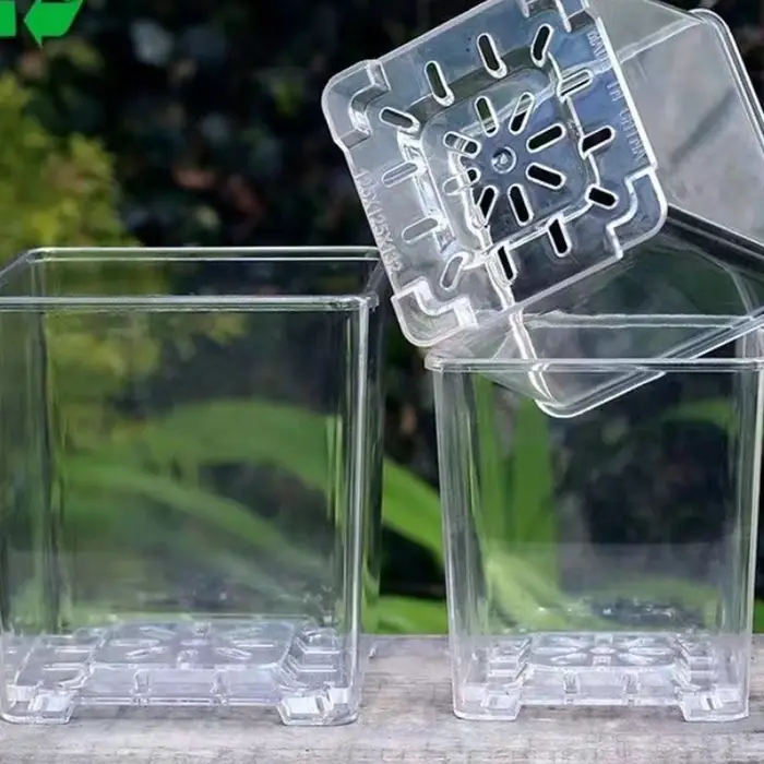 Pot de fleur Transparent