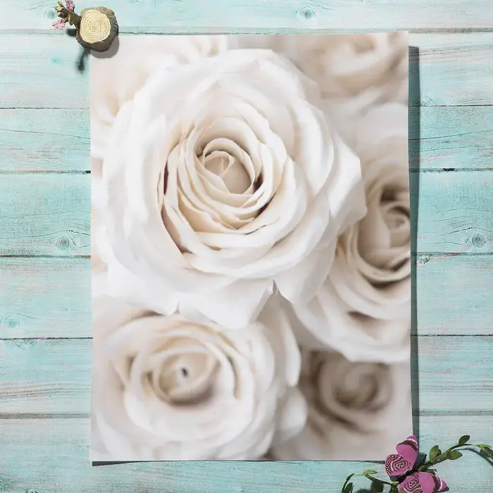 Impression sur toile d'art mural minimaliste avec des fleurs blanches de pissenlit
