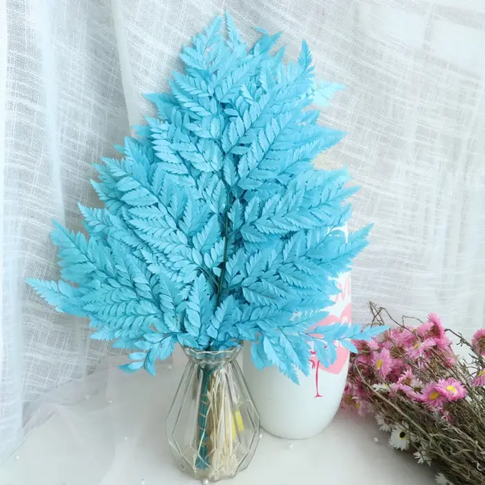 Fleurs de fougère naturelle pour la décoration intérieure