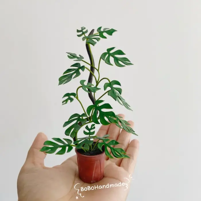 Mini Pots de plantes en argile faits à la main
