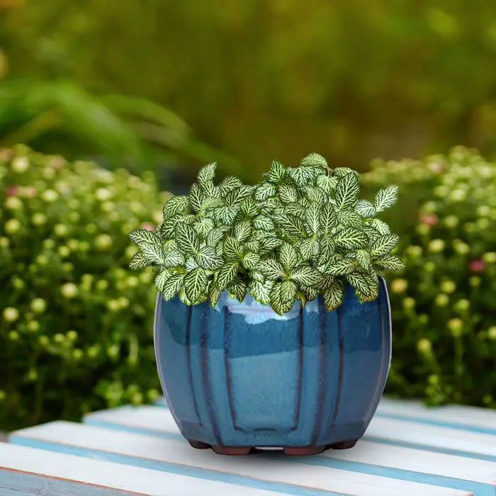Pots de jardinières de jardin en céramique
