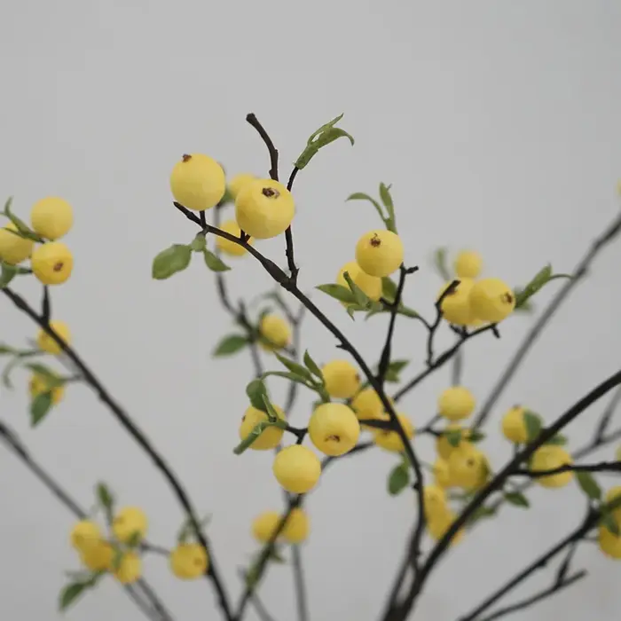 Branche de fleurs de baies pour la décoration de la maison