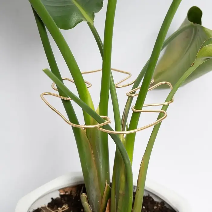 Poteau de support de plante en forme de Monstera