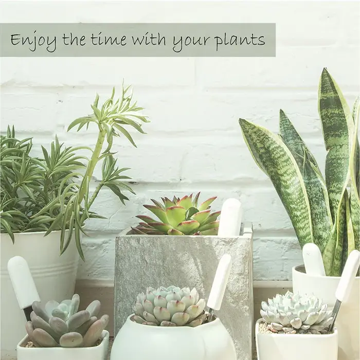 HHCC Flora Monitor Version mondiale fonctionne avec l'application Xiaomi Mijia plantes herbe soins des fleurs testeur d'eau du sol capteur détecteur moniteur