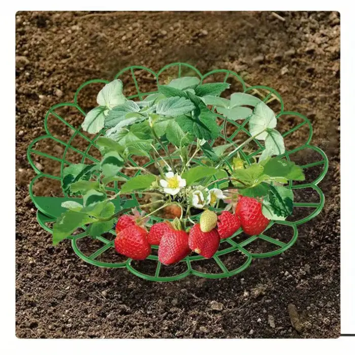 Supports pour plantes de fraises avec trois pieds robustes