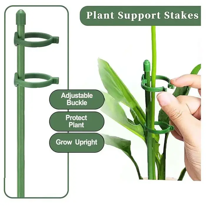 Piquets de Support pour plantes