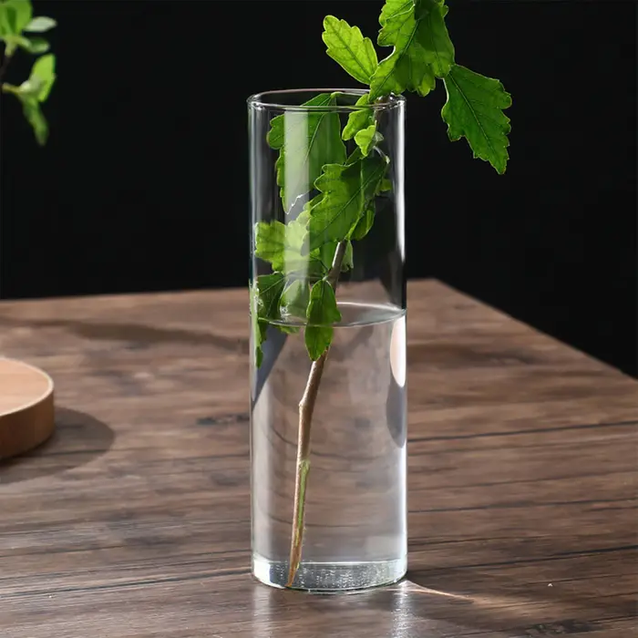Vase à fleurs hydroponique moderne à petits intervalles