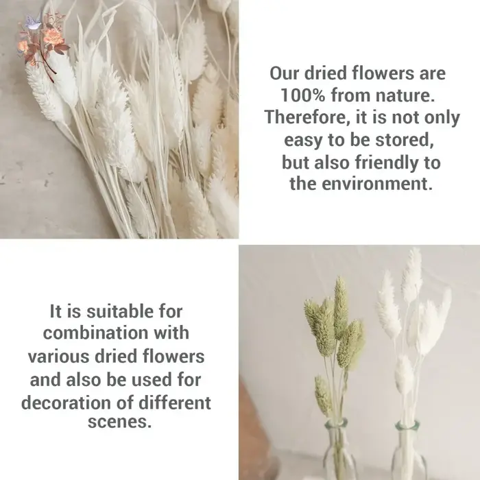Bouquet de pierres précieuses de phaladditif séchées éternelles