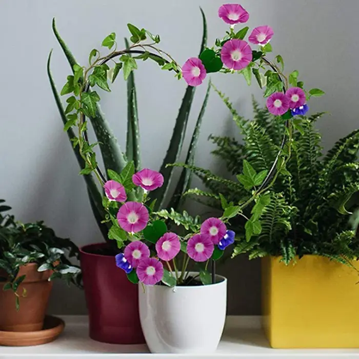 Piquet de support de plante de jardin en forme de coeur