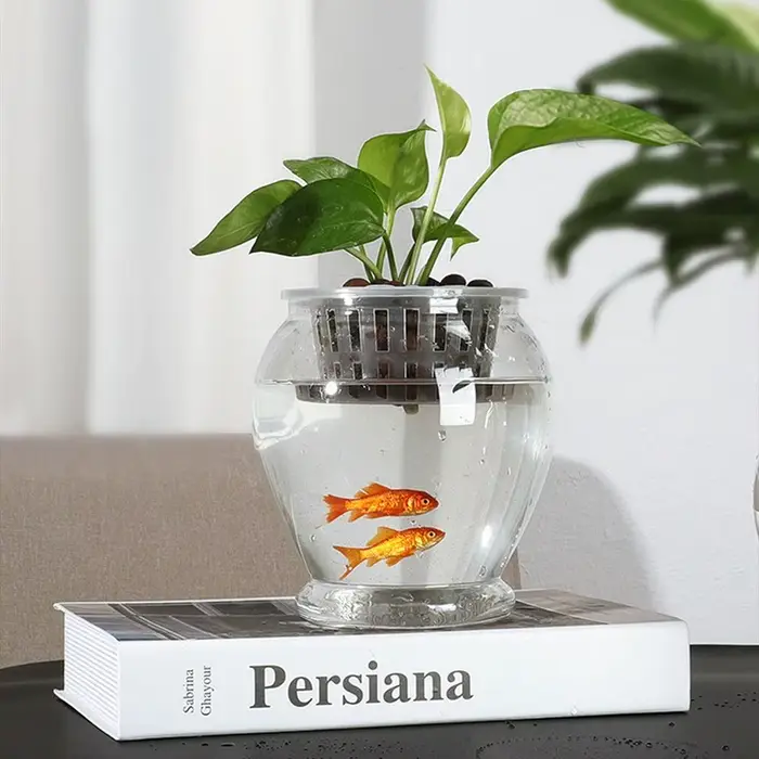 Nouveau pot de fleurs auto-arrosant pour plantes paresseuses