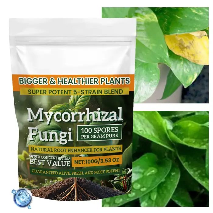 Engrais en poudre pour plantes