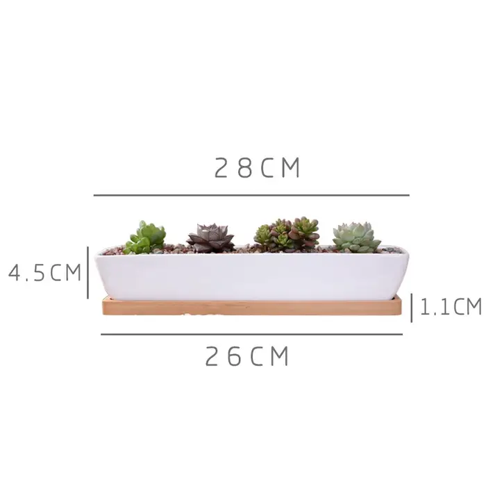 Pot de jardinière succulente en céramique blanche rectangulaire longue avec plateau en bambou