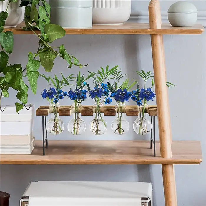 2X Stations de propagation Terrarium de plantes d'air de bureau