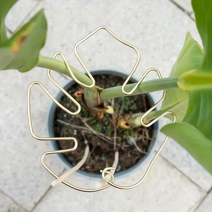 Grand support pour plantes suspendues