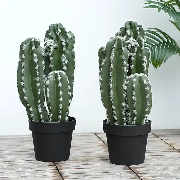 Plante succulente verte tropicale artificielle