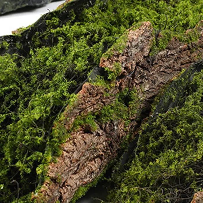 1 Imitation écorce mousse plantation blocs