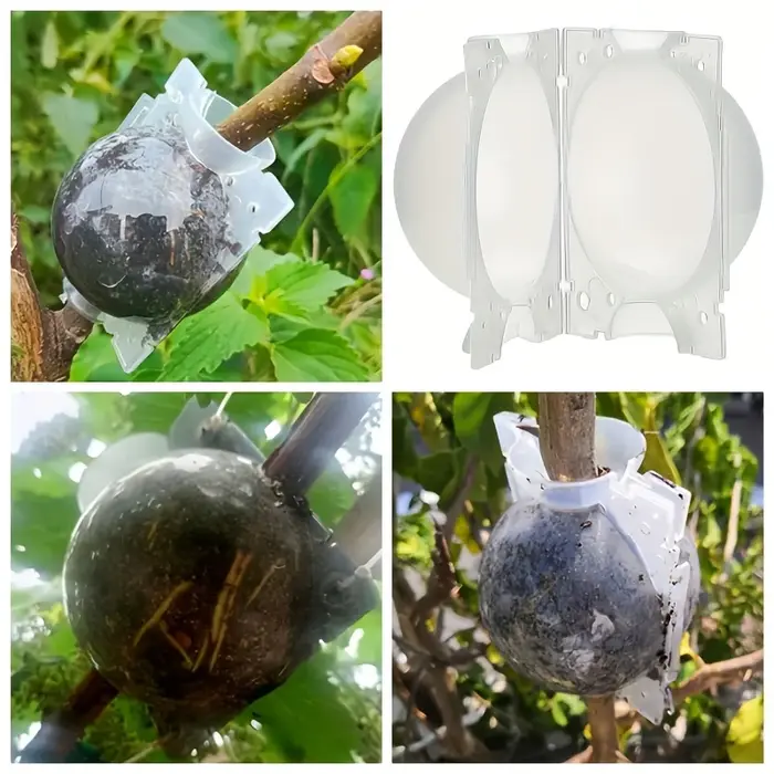 Boule d'enracinement de plantes à haute pression
